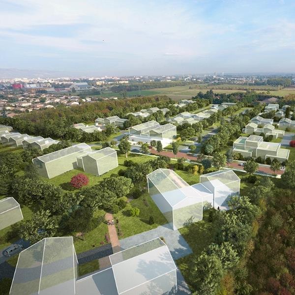 Découvrez la canopée autrement : notre film est en ligne ! 